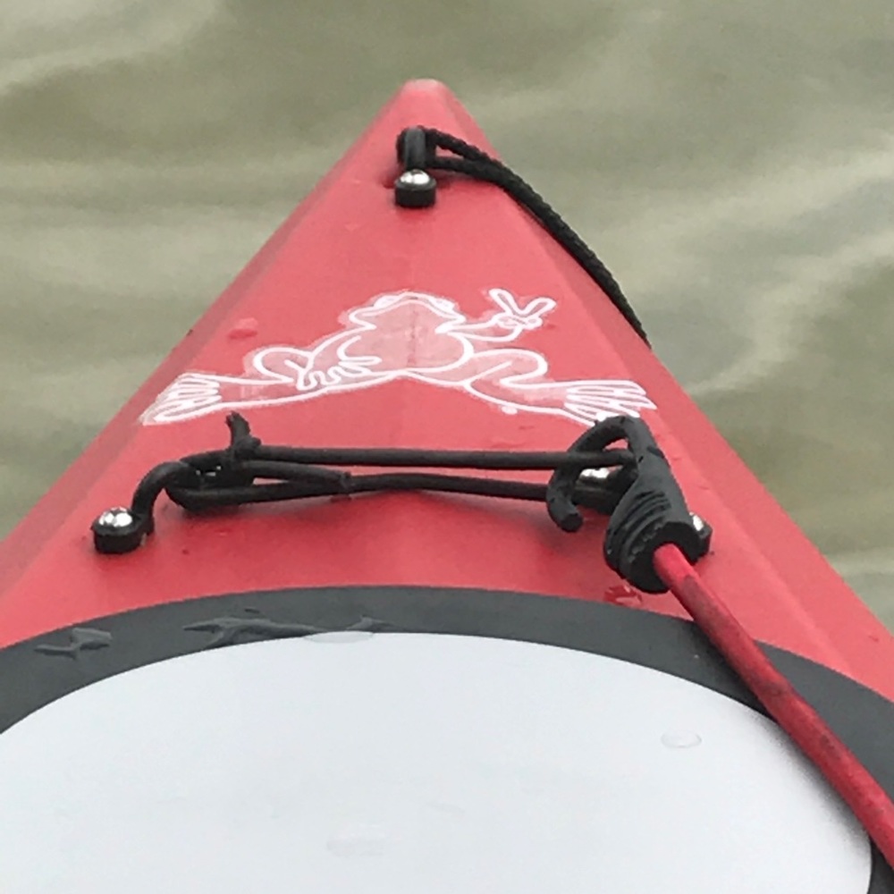 Meet your Posher, Sue